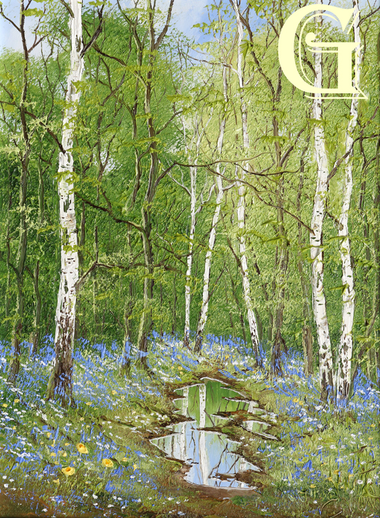 Terry Evans oil painting.  A DRIFT OF BLUEBELLS