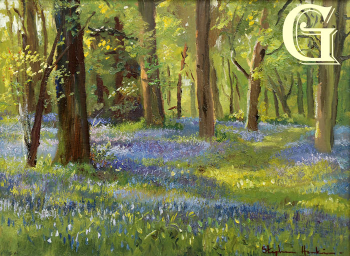 Stephen Hawkins oil painting, BLUEBELL MORNING