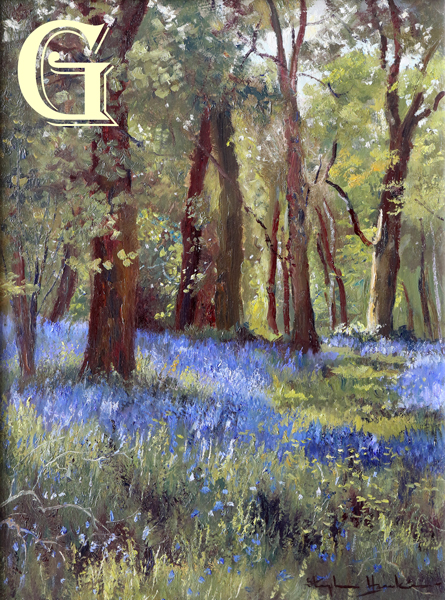 Stephen Hawkins oil painting , BLUEBELL TIME