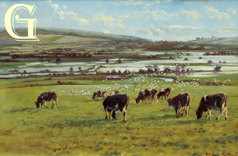 Stephen Hawkins oil painting , A BOVE THE FLOOD PLAIN