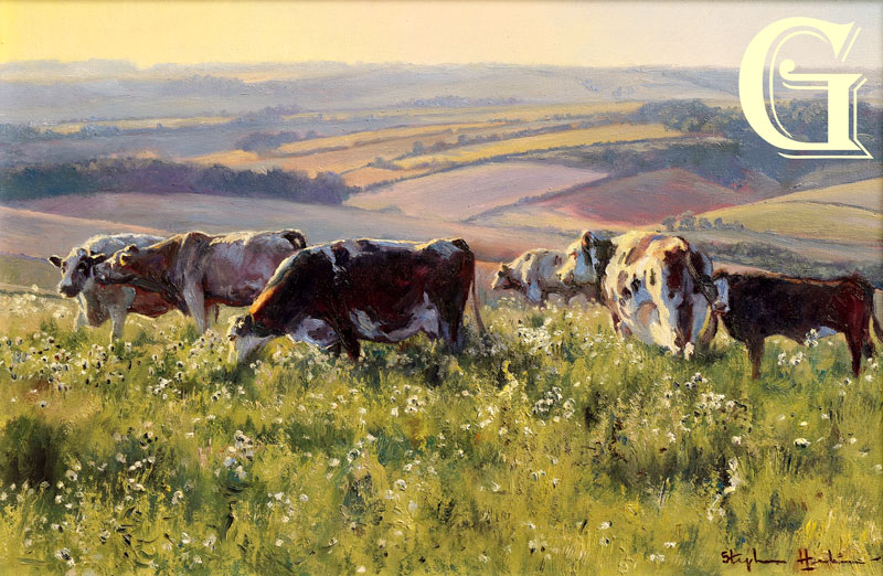 Stephen Hawkins oil painting, wildflower downland