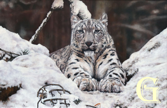 Stephen Park original oil painting , SNOW LEOPARD