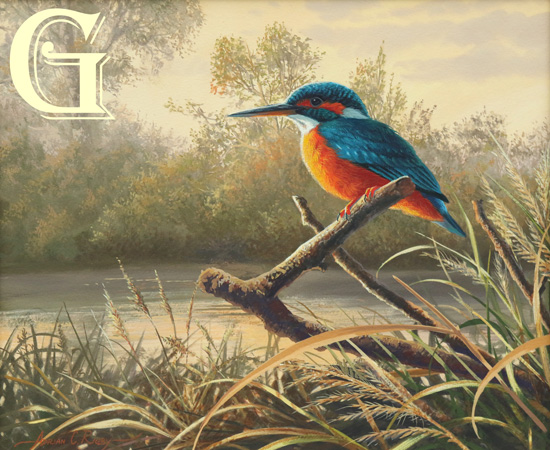 Adrian Rigby, original painting, KINGFISHER EVENING