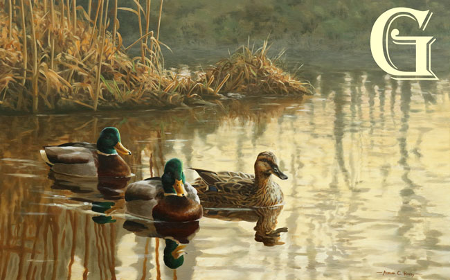 Adrian Rigby, original painting, MALLARD AT DUSK