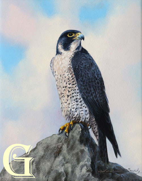 STUTELY, ORIGINAL PAINTING, PROUD PEREGRINE