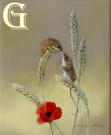 STUTELY, ORIGINAL PAINTING, HARVEST MICE AND POPPY