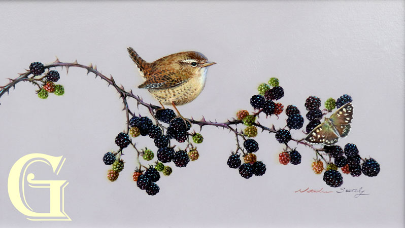 STUTELY, ORIGINAL PAINTING, WREN ON BLACKBERRIES