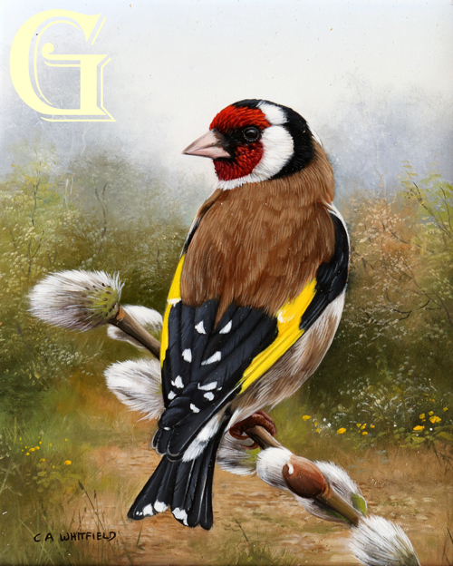 Carl Whitfield oil painting. GOLDFINCH