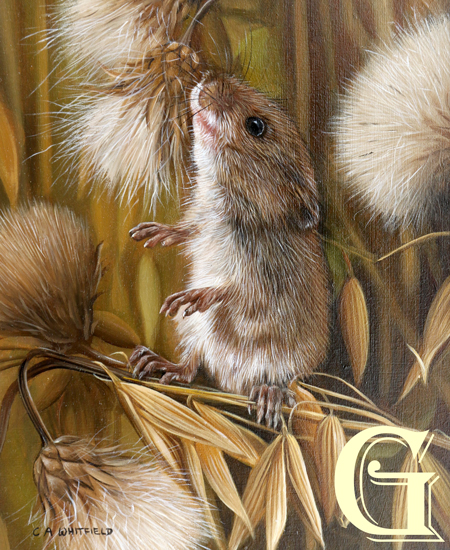 Carl Whitfield oil painting HARVEST MOUSE