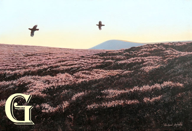DEMAIN, MICHAEL DEMAIN, PAINTING, GROUSE ABOVE HEATHER