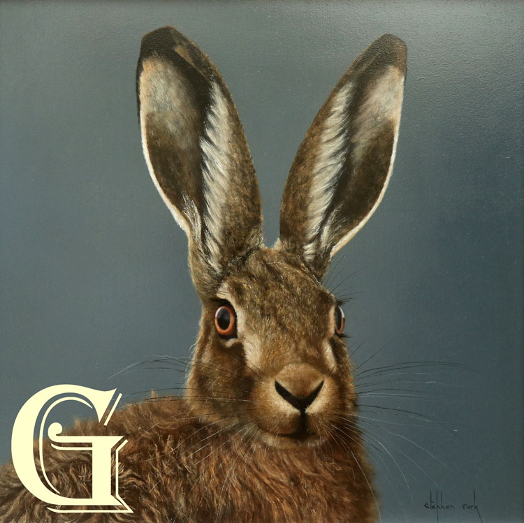 STEPHEN PARK, ORIGINAL PAINTING, HARE