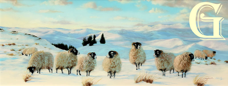 STUTELY, ORIGINAL PAINTING, HARDY SWALEDALES